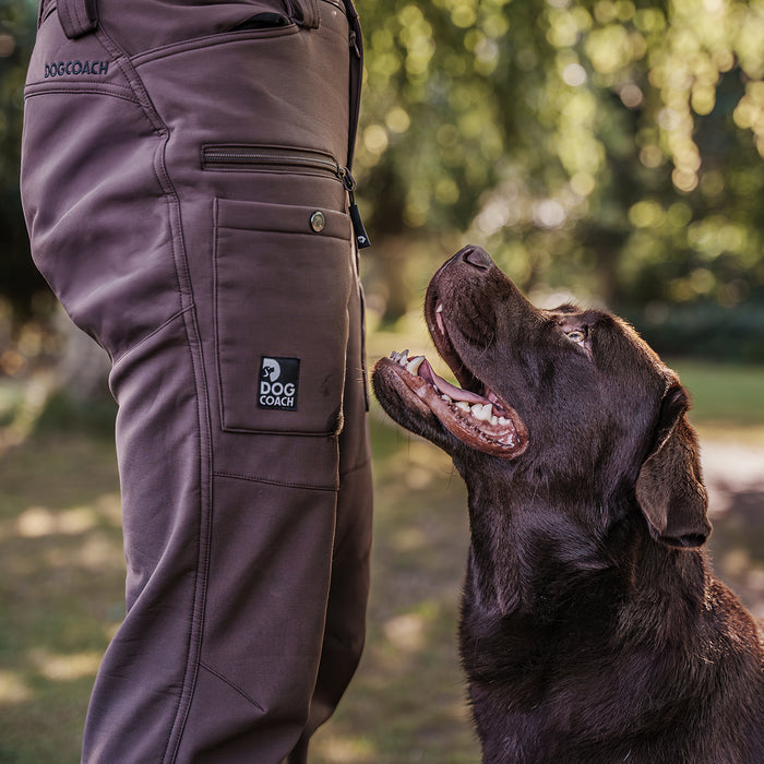Winter Pants 2.0 | Short | Bison | Reynard