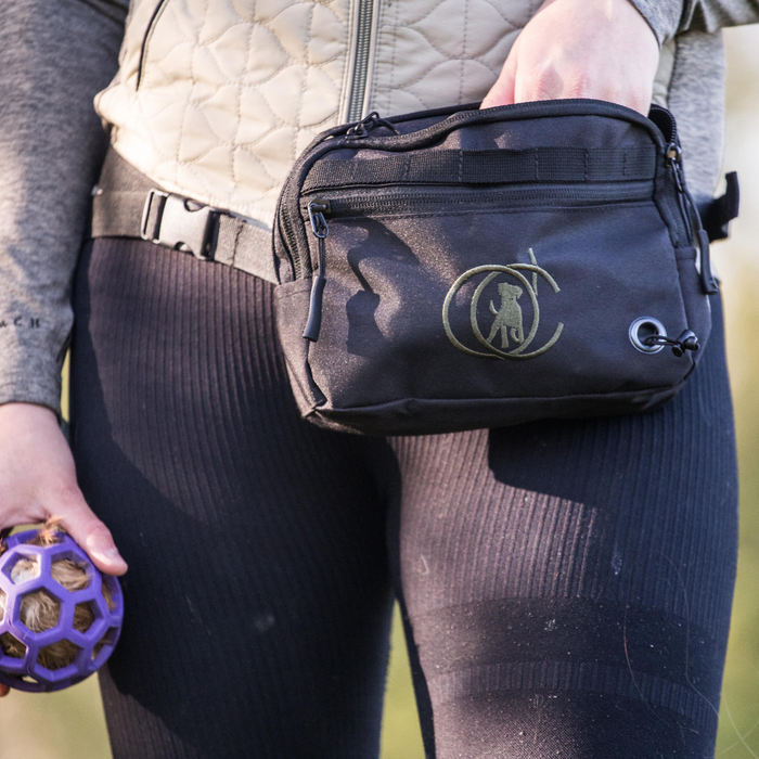 Belt Bag | Beetle | Marley