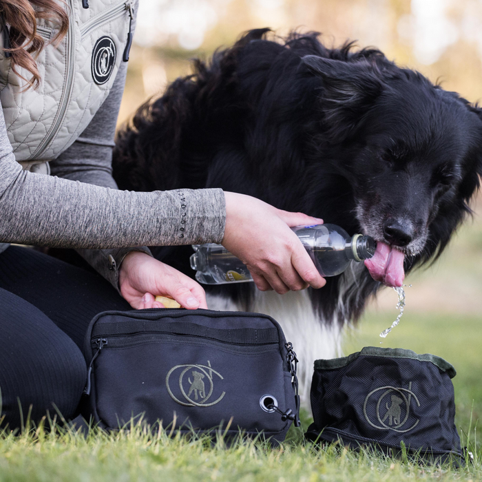 Belt Bag | Beetle | Marley