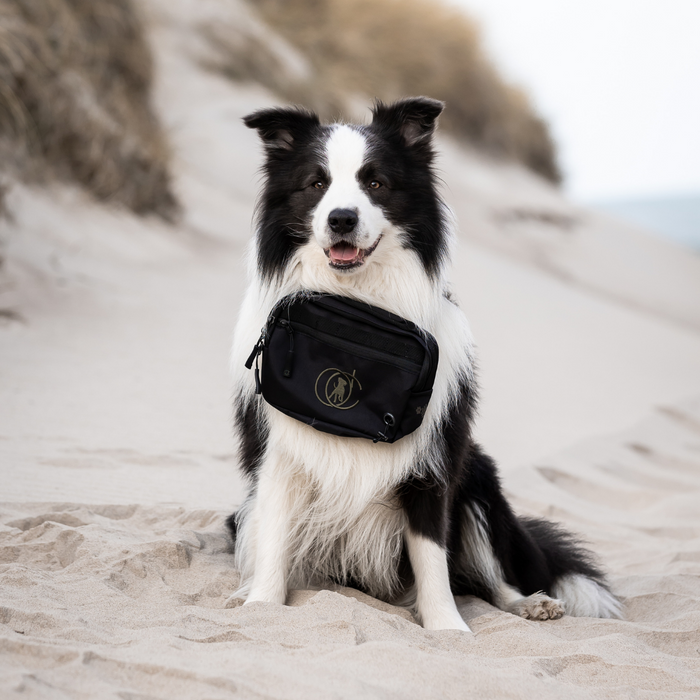 Belt Bag | Beetle | Marley
