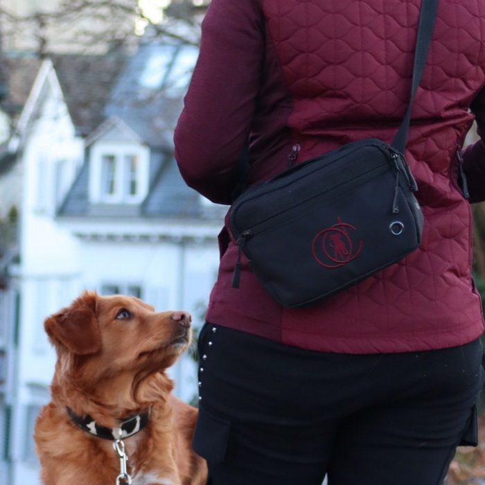 Belt Bag | Burgundy | Marley