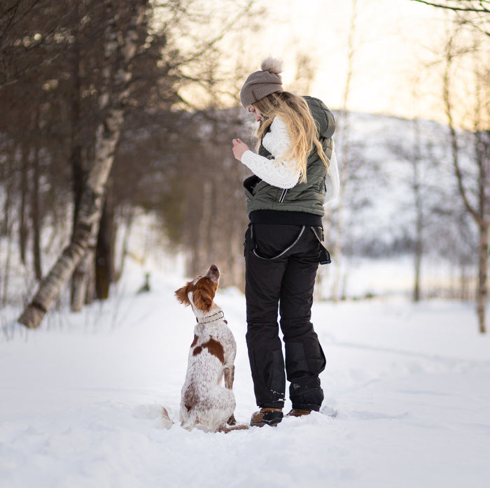Padded Dog Walker Vest | Beetle | Hyben