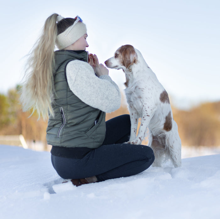 Padded Dog Walker Vest | Beetle | Hyben