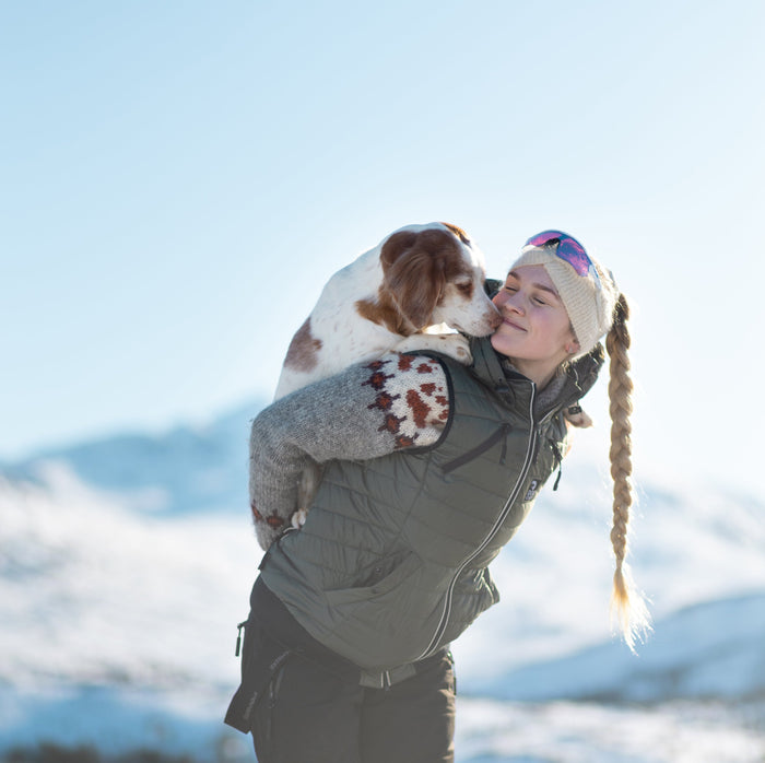 Padded Dog Walker Vest | Beetle | Hyben