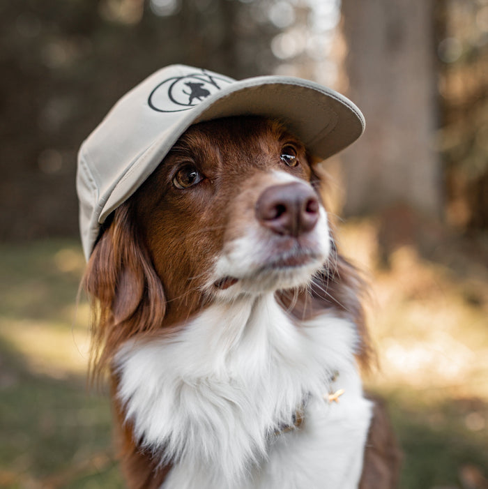 Dogwalker Cap | Desert | Silas