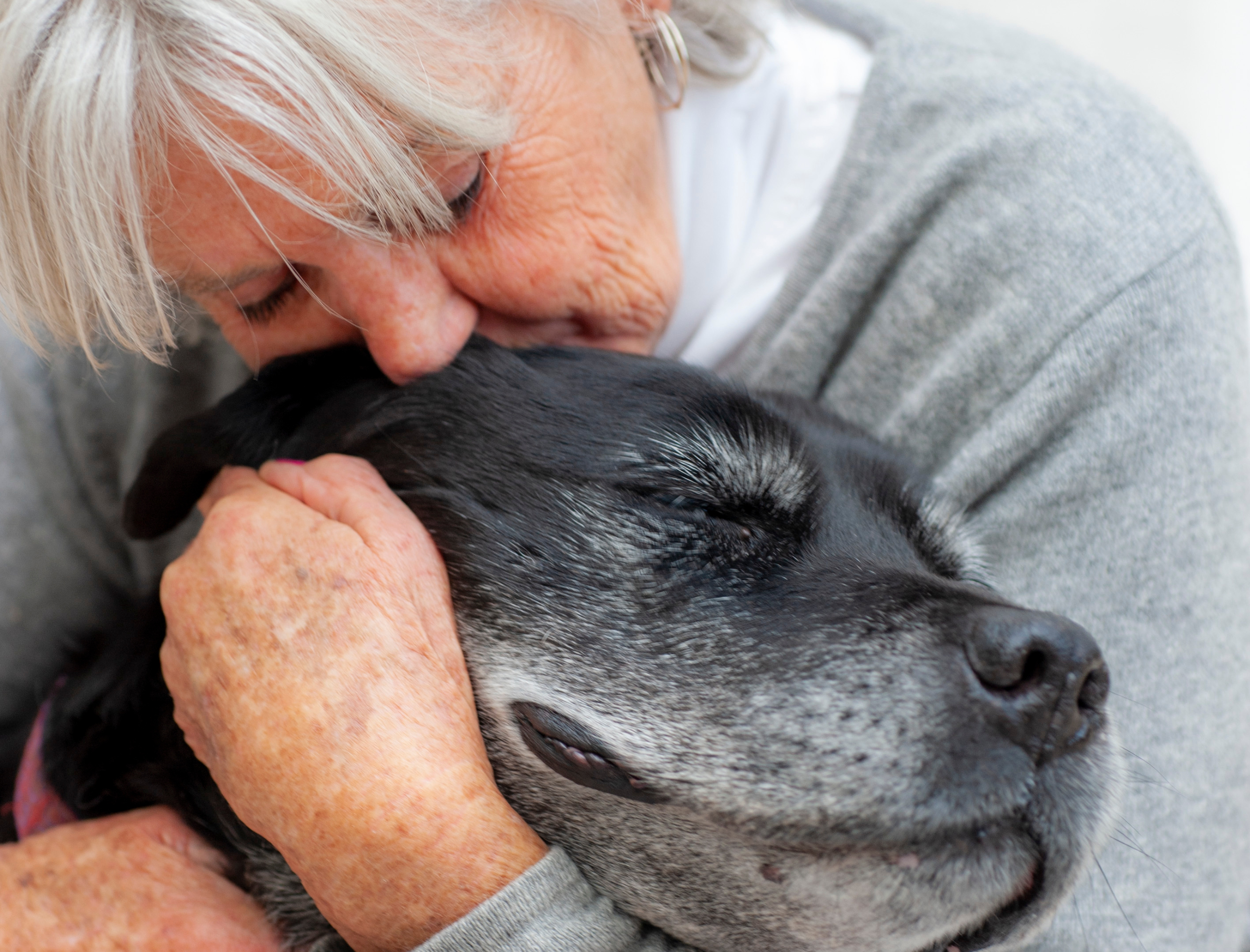 Losing Your Dog: Sharing the Grief and Rebuilding the Heart – DogCoach