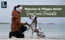 Waschen & Pflegen deiner DogCoach Produkte