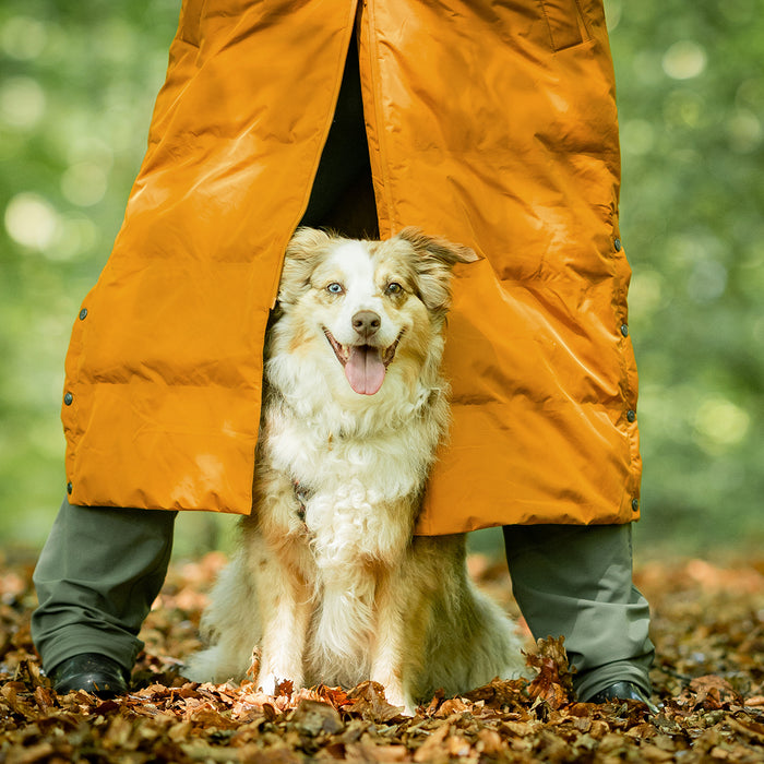 Long KeepDry Dog Walker Coat | Mustard | Dorthea