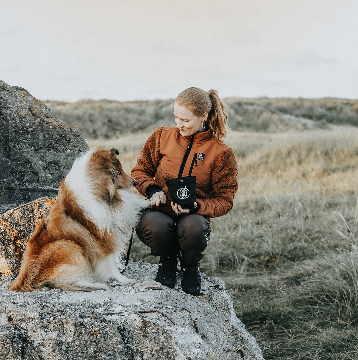 Teddy 2.0 | Unisex | Caramel | Keela – DogCoach