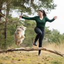 FeelFree Dog Walker Tights 2.0 I Black I Cosmo