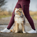 FeelFree Dog Walker Tights 2.0 I Rosso I Saga