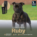 FeelFree Dog Walker Tights | Sort | Ruby