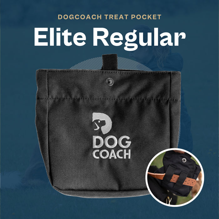 DogCoach Treat Pocket | Elite | Regular | Black | Guinness