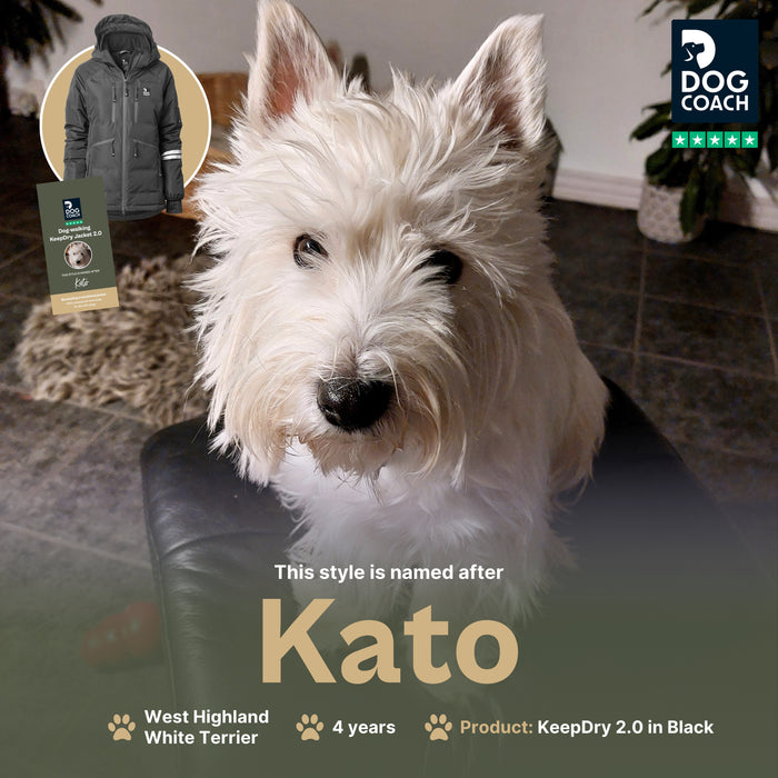 KeepDry 2.0 | Black | Kato