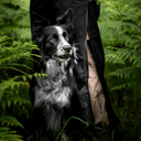 Pack&Dry Quick Zip Pants I Black I Mateo