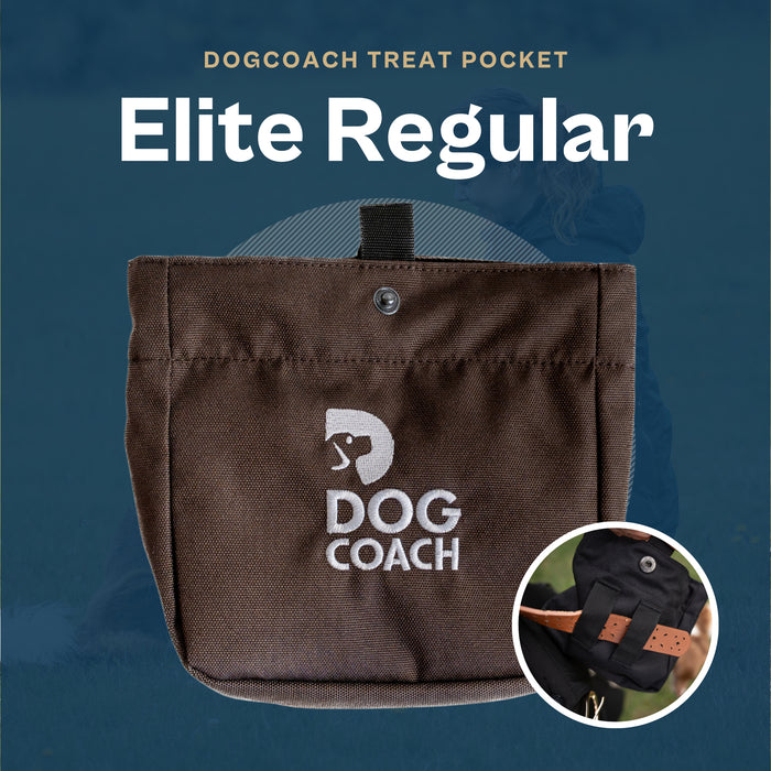 DogCoach Treat Pocket | Elite | Regular | Bison | Natz