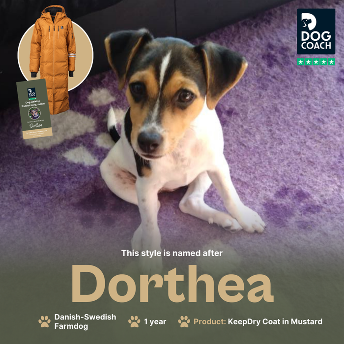 Long KeepDry Dog Walker Coat | Mustard | Dorthea