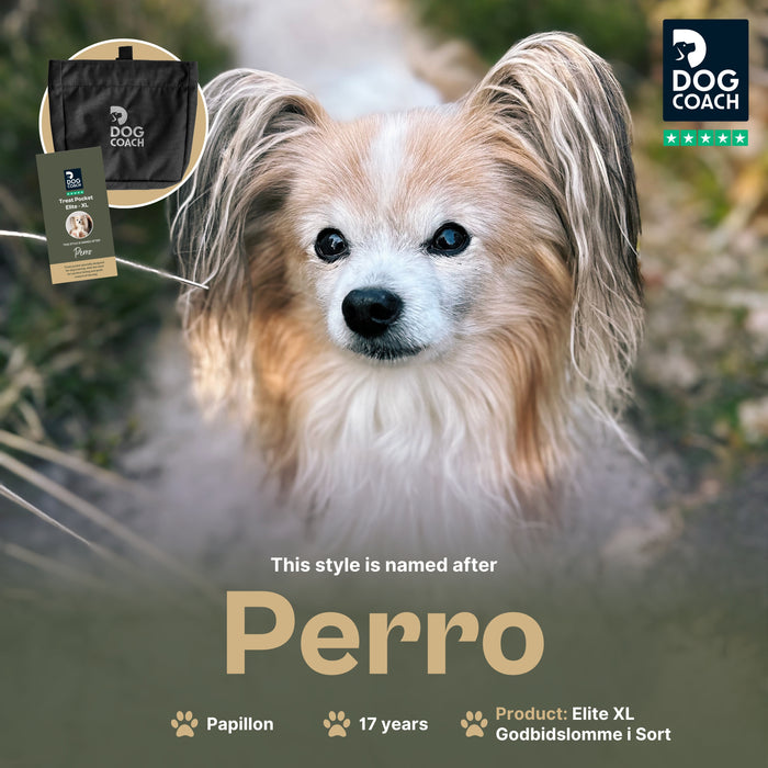 DogCoach Treat Pocket | Elite | XL | Black | Perro