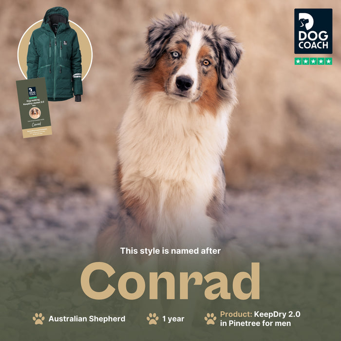 KeepDry 2.0 | Men | Pinetree | Conrad