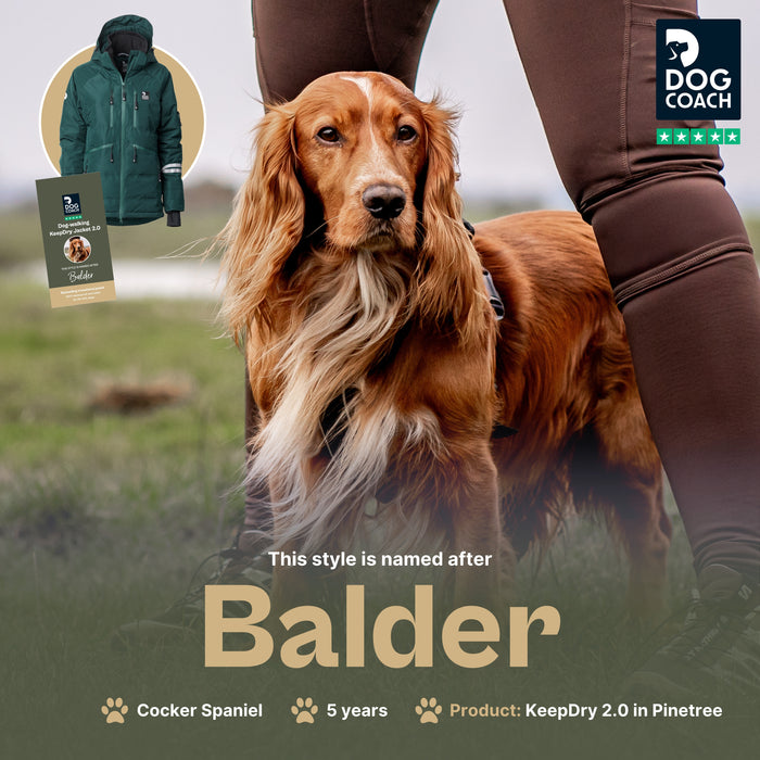 KeepDry 2.0 | Pinetree | Balder