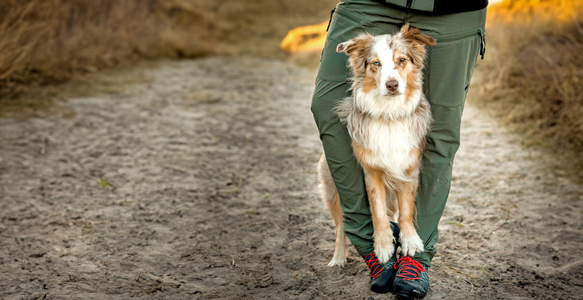 DogCoach High quality clothing for dog owners DogCoach International