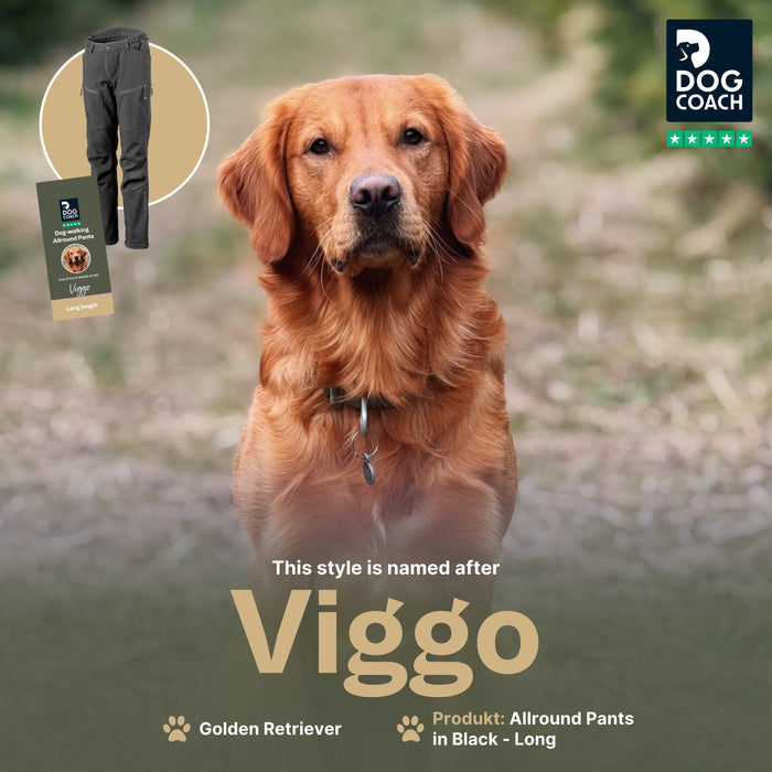 Dog Walker Allround Pants | Black | Long | Viggo