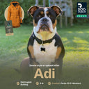 Parka Jacket 10.0 | Mustard | Adi