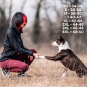 FeelFree Dog Walker Tights 2.0 I Rosso I Saga