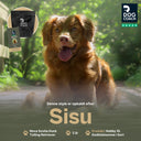 DogCoach Godbidslomme | Hobby | XL | Black | Sisu