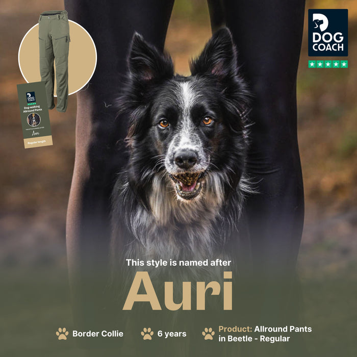 Dog Walker Allround Pants | Beetle | Regular | Auri