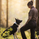 FeelFree Dog Walker Zip T-shirt I Mocca I Chomsky