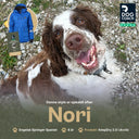 KeepDry 2.0 | Arctic | Nori