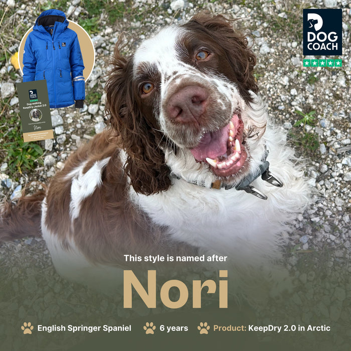 KeepDry 2.0 | Arctic | Nori