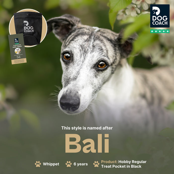 DogCoach Treat Pocket | Hobby | Regular | Black | Bali