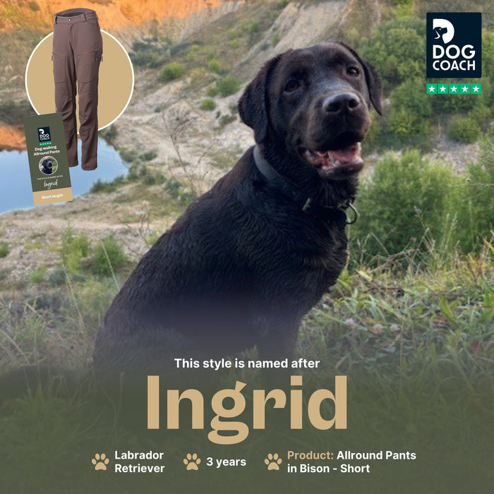 Dog Walker Allround Pants | Bison | Short | Ingrid