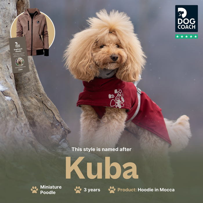 Unisex Hoodie 2.0 | Mocca | Kuba