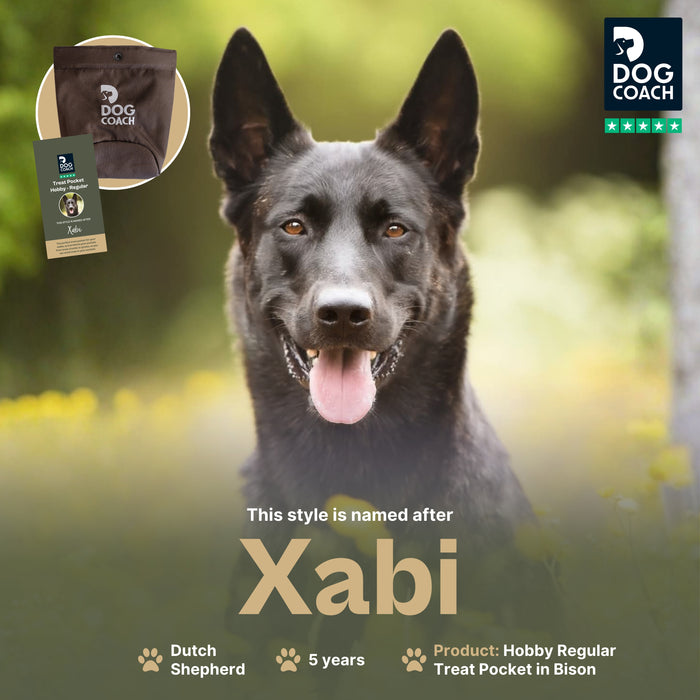 DogCoach Treat Pocket | Hobby | Regular | Bison | Xabi