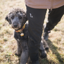 Unisex Shell Pants 2.0 | Black | Long | Hiro