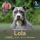 Unisex Hoodie 2.0 | Rosewood | Lola