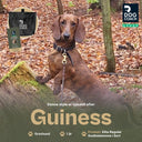DogCoach Treat Pocket | Elite | Regular | Black | Guinness