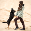 Unisex 2-in-1 Zip-Off Shell Pants I Bison I Long I Klara