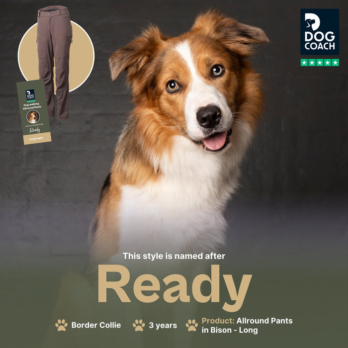Dog Walker Allround Pants | Bison | Long | Ready