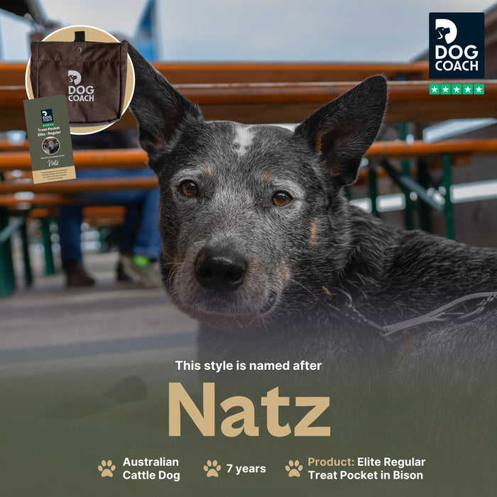 DogCoach Treat Pocket | Elite | Regular | Bison | Natz