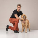 Unisex Allround Pants 2.0 I Tawney I Extra length I Harry I Men