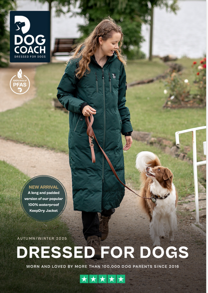 Catalogue AW2025