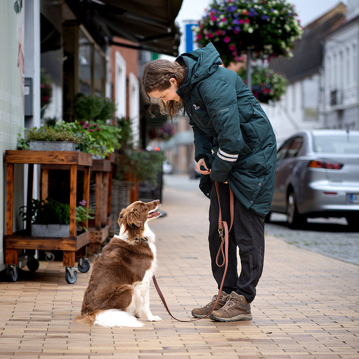 Long KeepDry Dog Walker Coat | Pinetree | Macro
