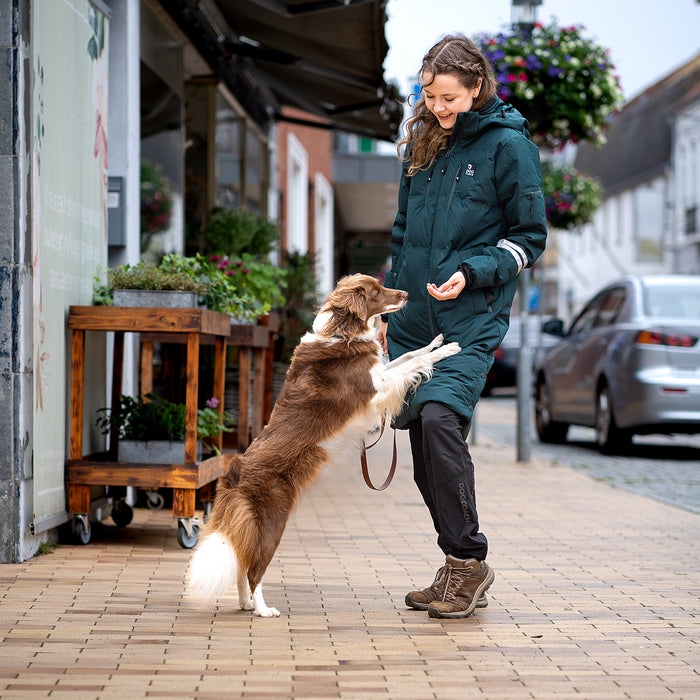 Long KeepDry Dog Walker Coat | Pinetree | Macro