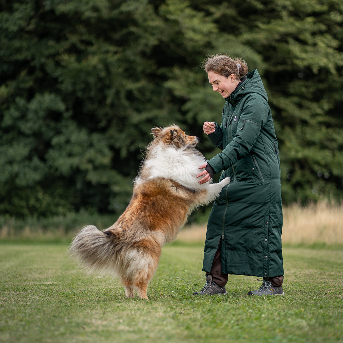 Long KeepDry Dog Walker Coat | Pinetree | Macro – DogCoach