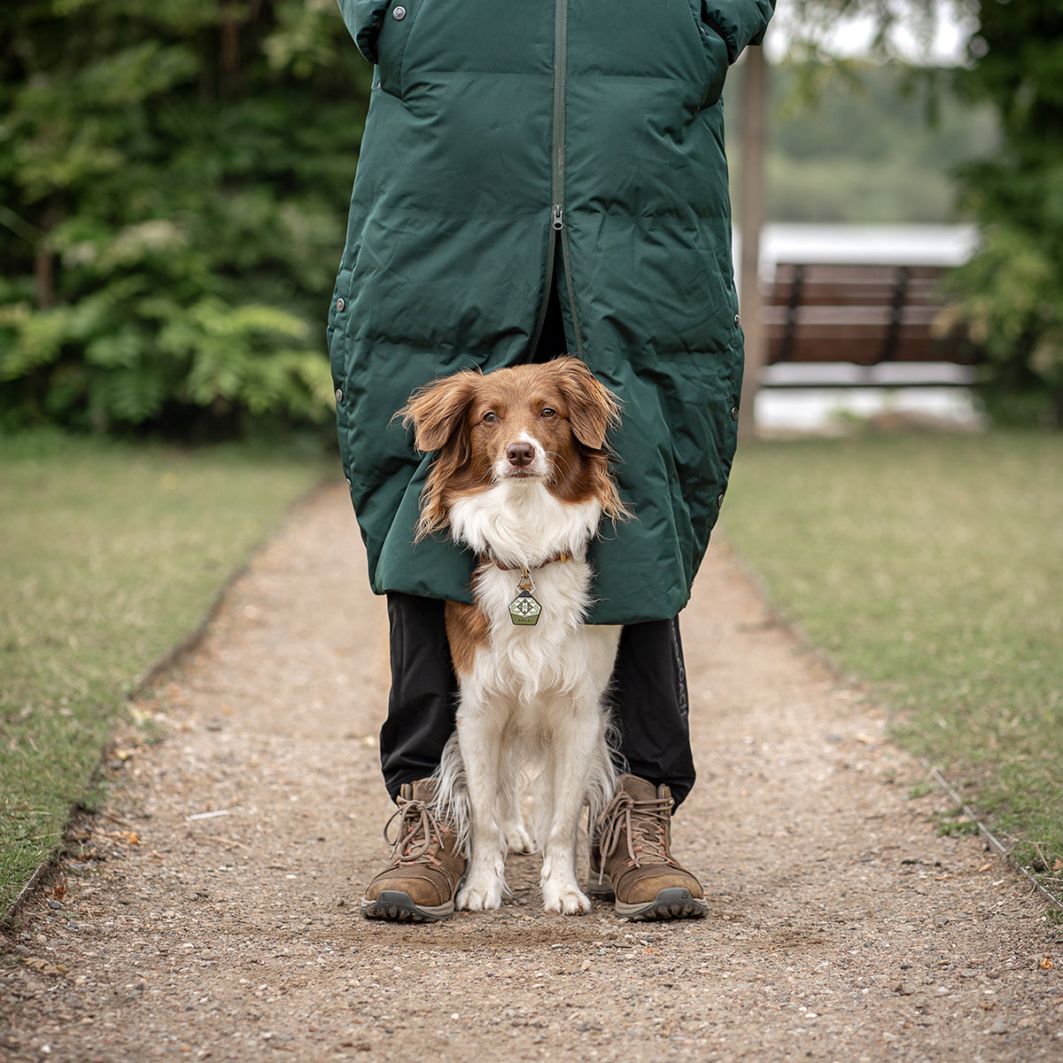Long KeepDry Dog Walker Coat | Pinetree | Macro – DogCoach