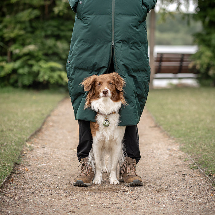 Long KeepDry Dog Walker Coat | Pinetree | Macro